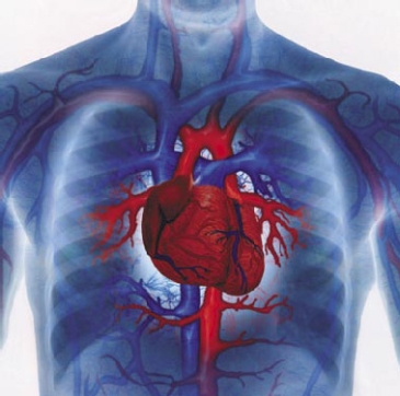 Prevenção de doenças cardiovasculares
