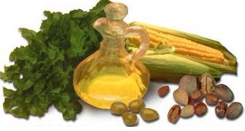 A Vitamina E e seu grande poder antioxidante
