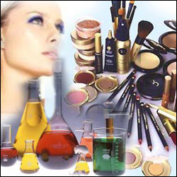 Empresas e produtos de cosmético para ser revendedor