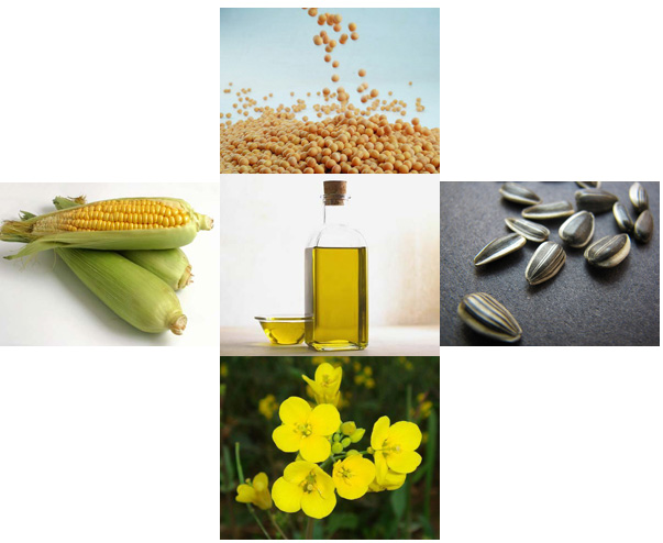 oleo-soja-milho-girassol-canola óleo soja milho girassol canola