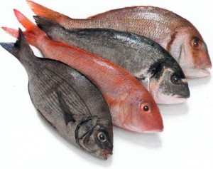 Os beneficios dos Peixes