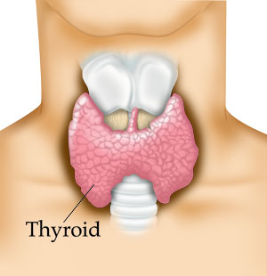 tiroide