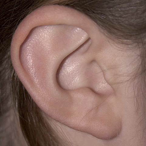 Higiene do ouvido