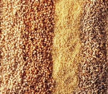 Os benefícios dos cereais integrais