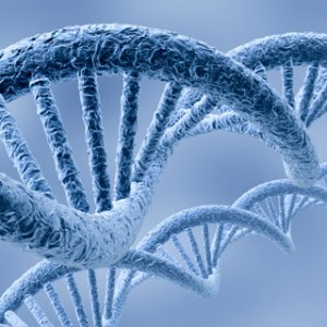 genoma