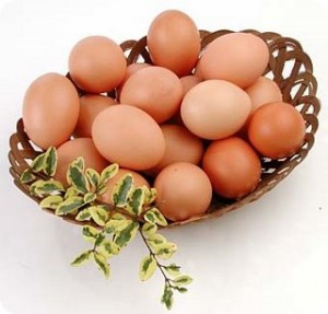 caloria dos ovos