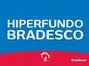 HIPERFUNDO BRADESCO, INFORMAÇÕES