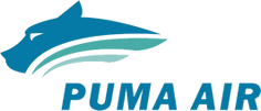 PUMA AIR PASSAGENS AÉREAS, WWW.PUMAAIR.COM.BR