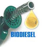 ENERGIAS RENOVÁVEIS: BIODIESEL