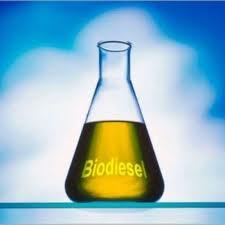 ENERGIAS RENOVÁVEIS: BIODIESEL