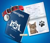 WWW.IDENTIGATO.COM.BR, PROMOÇÃO CAT CHOW IDENTIGATO