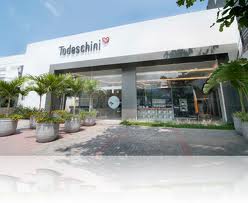 TODESCHINI RJ, WWW.TODESCHINIRIO.COM.BR