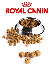 ROYAL CANIN RAÇÃO, WWW.ROYALCANIN.COM.BR