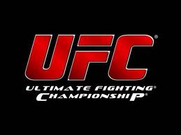 UFC COMBATE, WWW.UFCCOMBATE.COM.BR