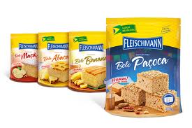 FLEISCHMANN PRODUTOS, RECEITAS, WWW.FLEISCHMANN.COM.BR