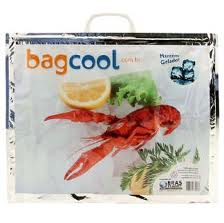 BAGCOOL BOLSA TÉRMICA, WWW.BAGCOOL.COM.BR