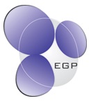 EGP CONCURSOS, WWW.CONSULTORIAEGP.COM.BR