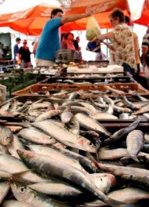 sardinha sardinha